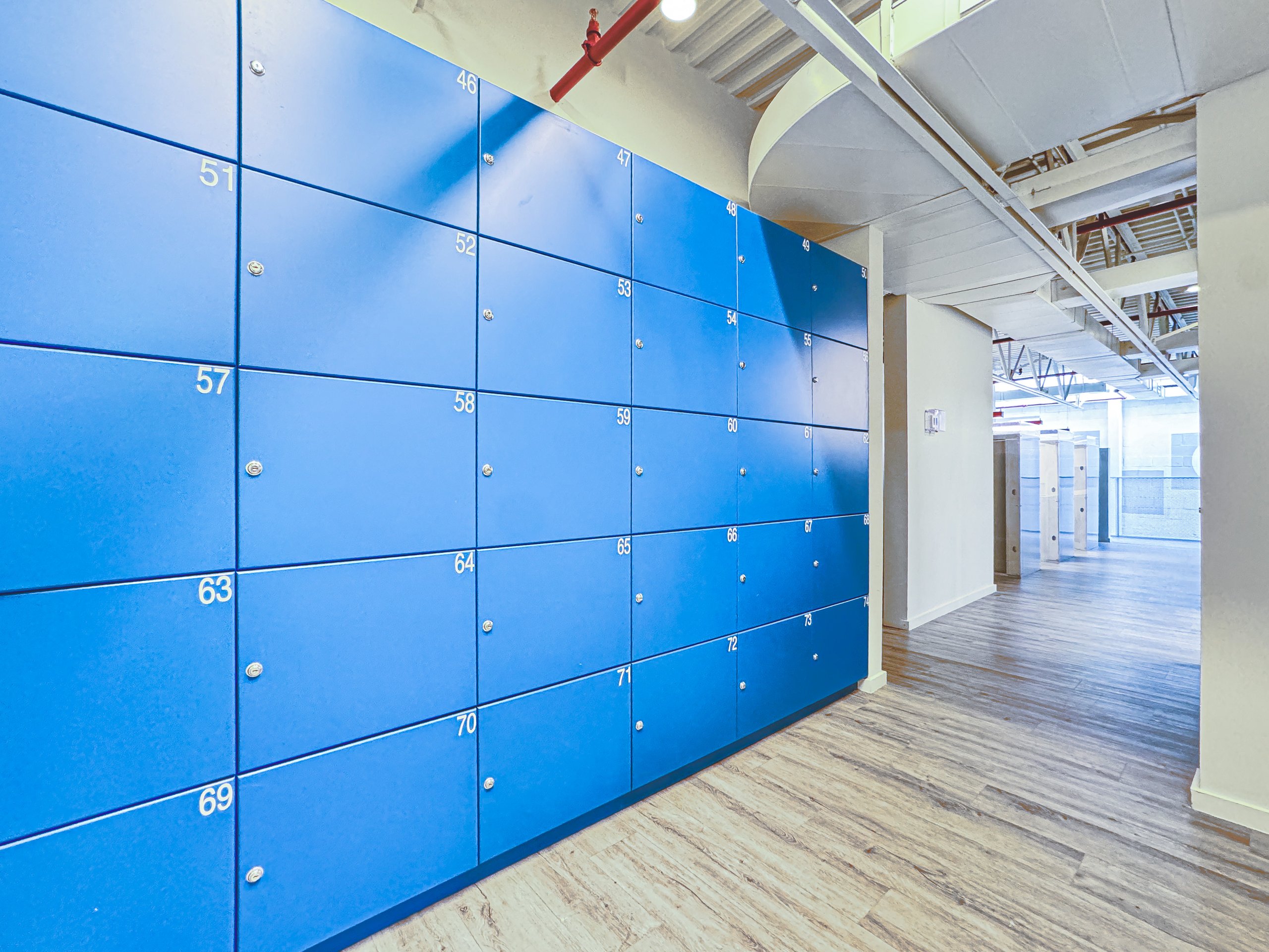 A wall of numbered blue storage lockers and mailboxes at Billy Penn Studios coworking