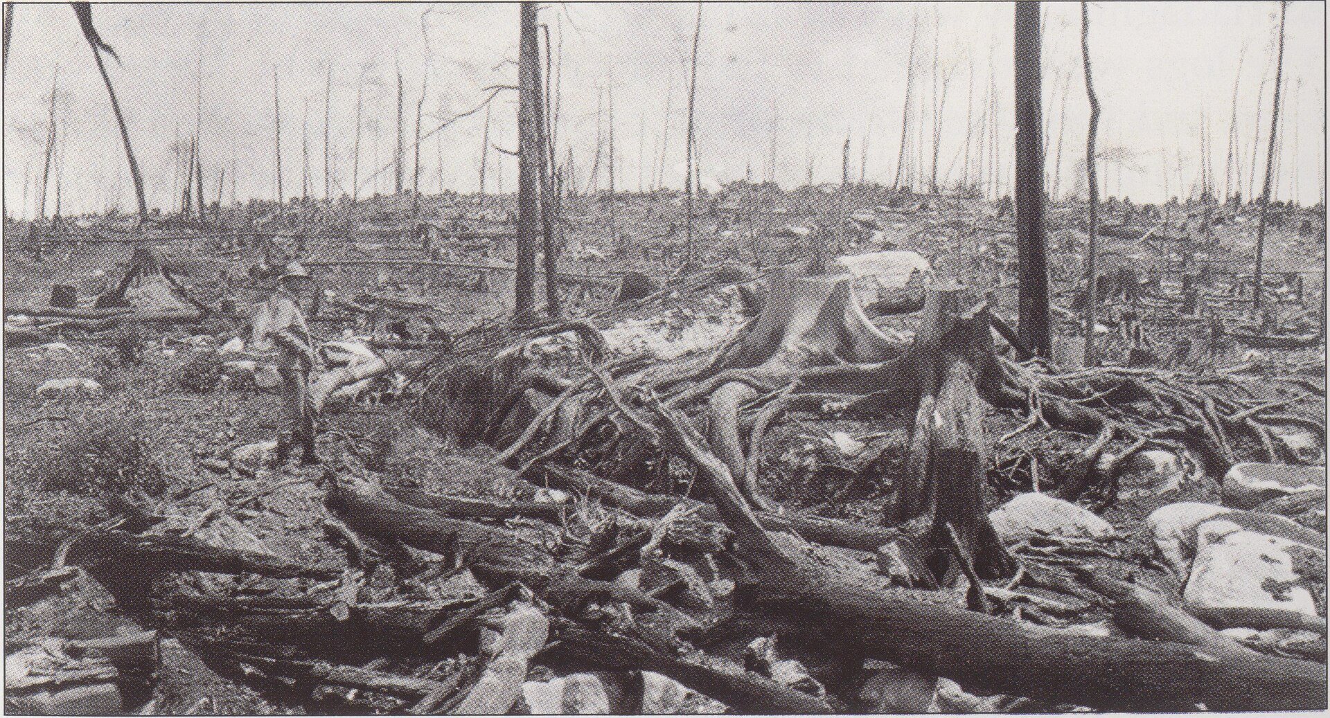 A clear cut Pennsylvania hillside in the early 1900s, stumps and fallen timber to the horizon, known as the Pennsylvania Desert