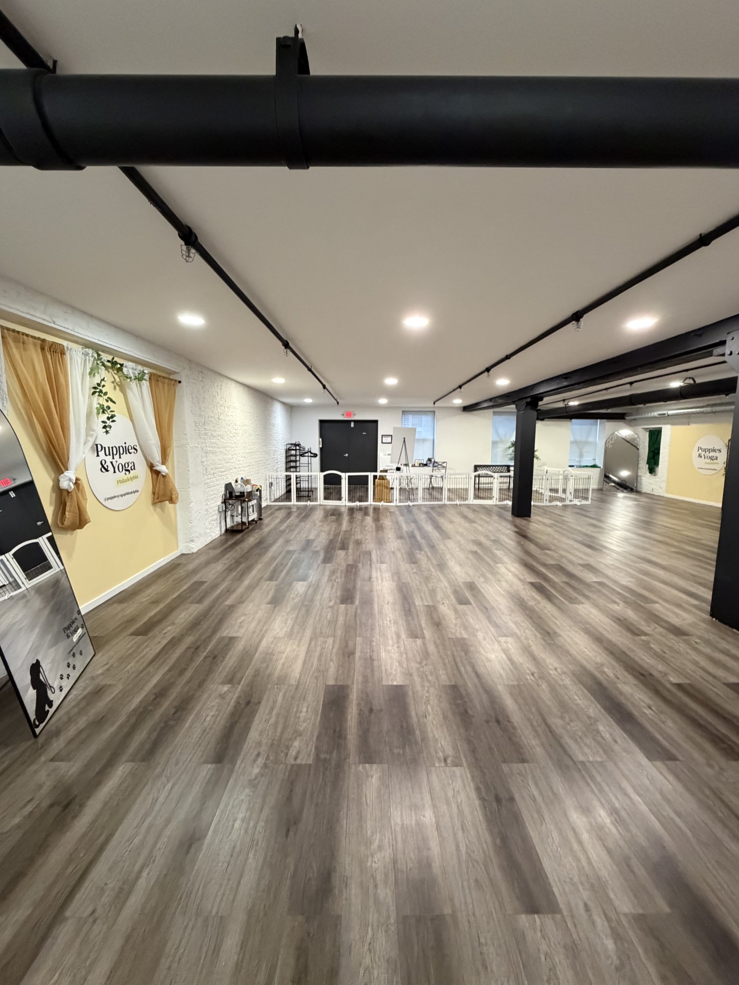 A puppy yoga class held in an event space at Billy Penn Studios, Philadelphia